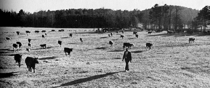 Nation_of_Islam_Farm_ca_1968