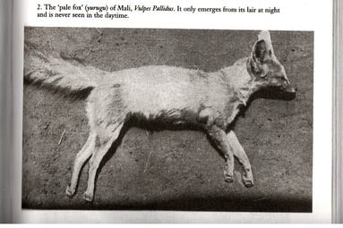 29a60a672170ddad0556c07a4ad9b3bb--sirius-robert-richard