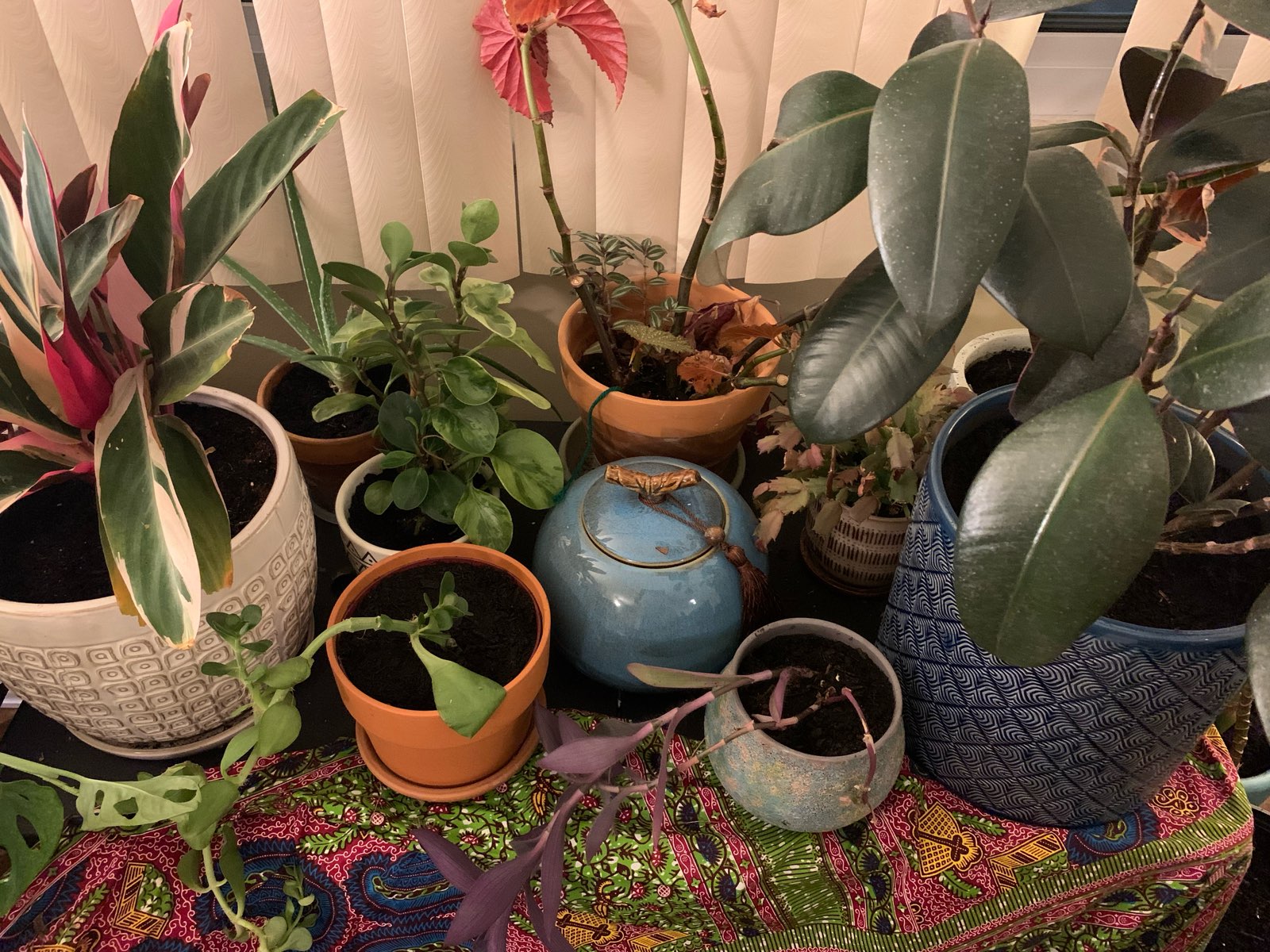 681BC23E-F203-4851-86D4-BF0779F7D666