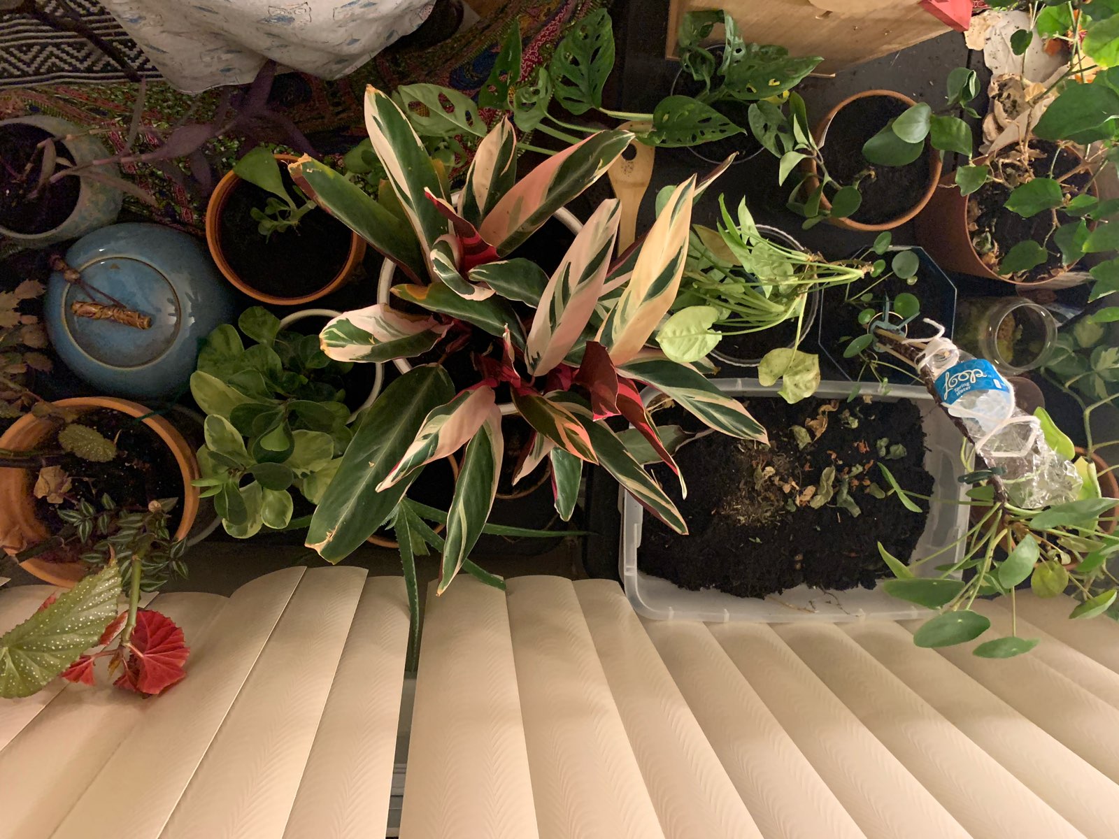 498131B6-0FA2-42EE-8DF7-FB3B0C5FF977