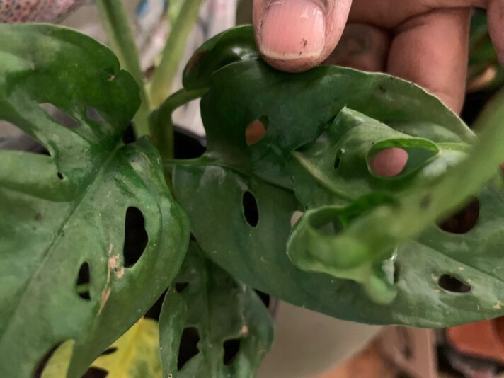 B6D88050-A685-4371-B0B8-45254BF65EE3