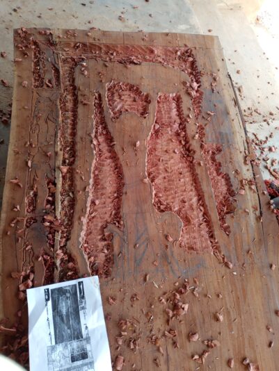 IMG_20230105_135820_055