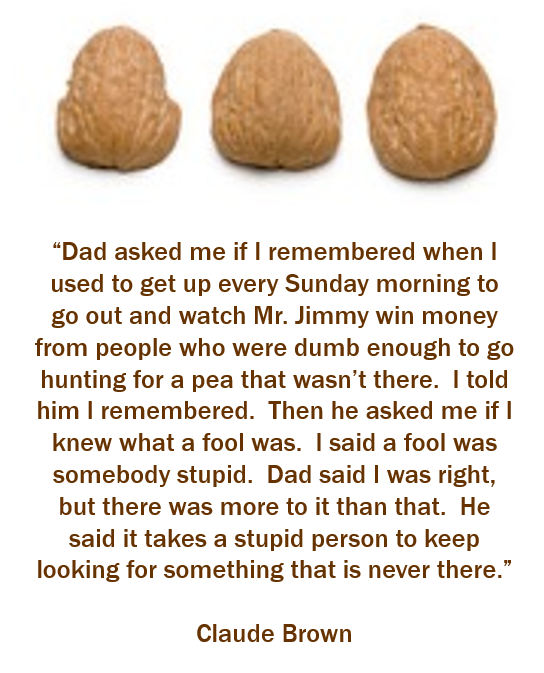 Brown z Claude pea shuffling