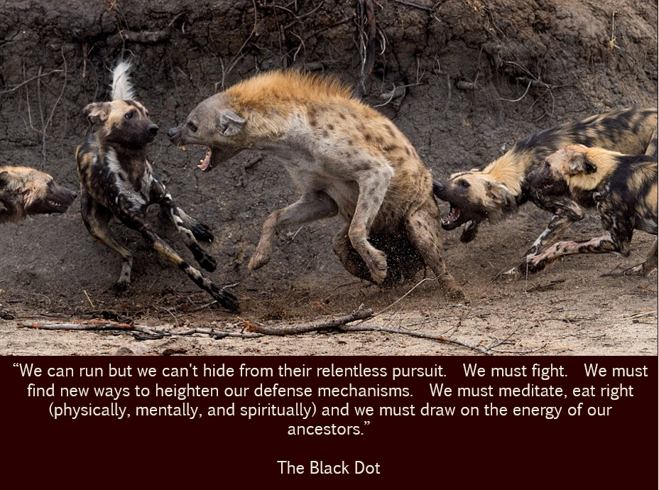 Black dot fight back