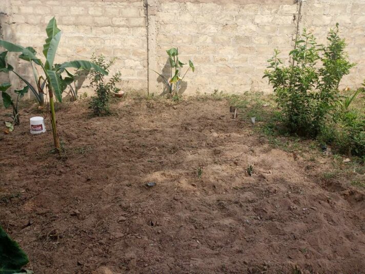 e08d4189-c33a-4f8b-9e40-eb4de4c06cc2