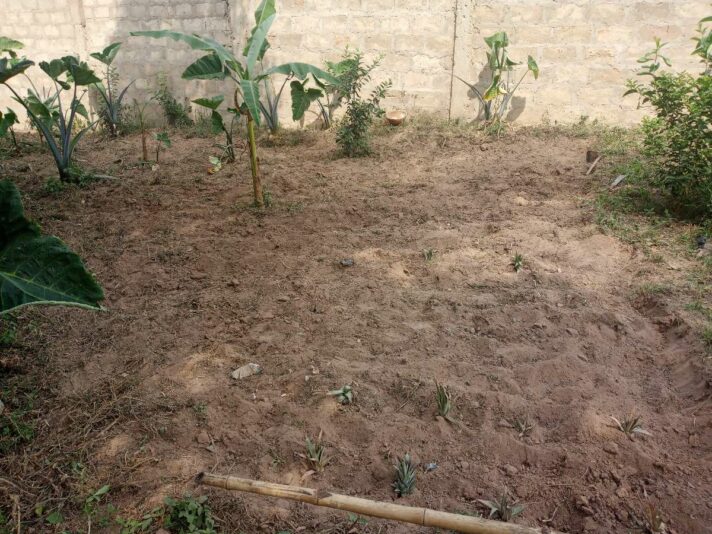 5ceb41fa-4e5e-447d-a28f-2d691c4abc9d