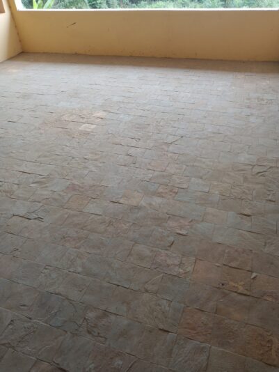 IMG_20230310_144538_646