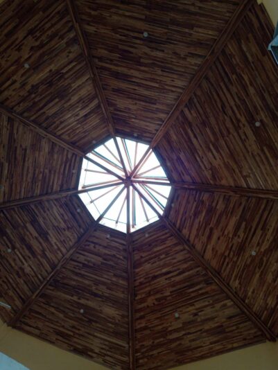 d5421506-6a45-454f-a5fc-0bdfea52f637