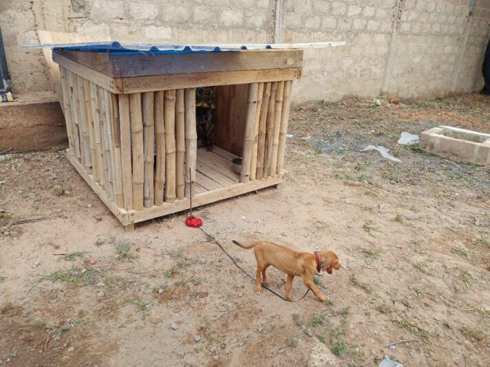 c94fbab9-3d25-4de8-b945-e44d8b641484