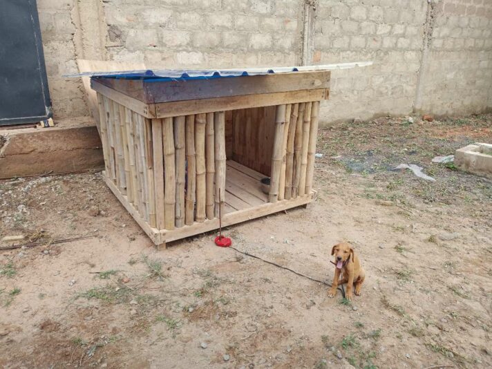 6e2508a5-5181-4ddf-a9af-dbaadc6c9f4d