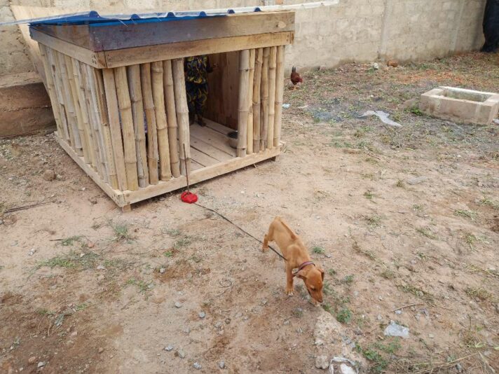 783a60cf-3065-496e-80a2-89fcd380004f