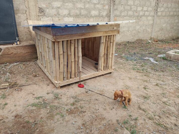 bcc02d8a-82d3-42b4-ab01-33d25827298f