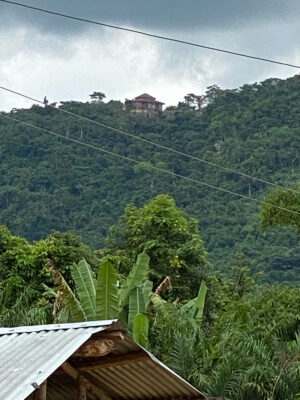 B810607E-39C6-4C9C-B0FE-7DDE07C1855E