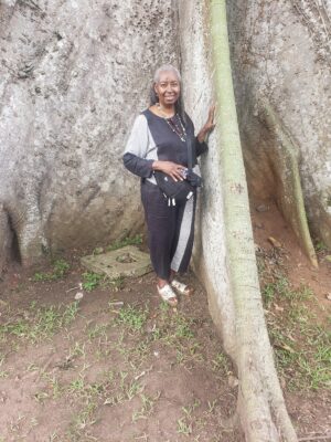 53e9ee42-cc8c-403d-92a5-6fa3a0fb8092