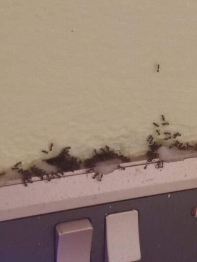 ab0b8ea7-b675-4a79-8103-d211de73d050