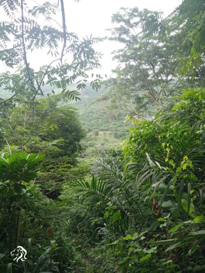 IMG_20230723_140726_522