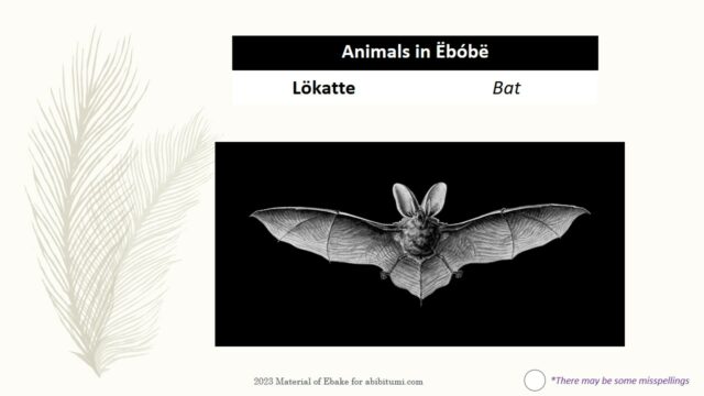 2023_07_15_Animal_Bat