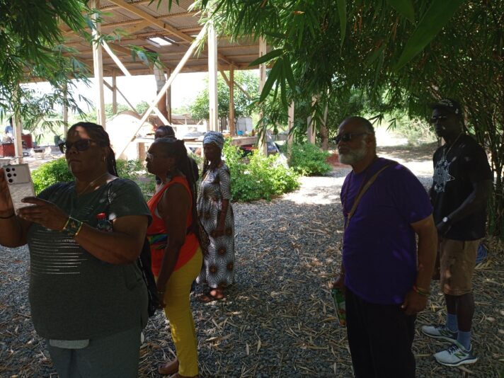 d66d9713-a763-439b-a34f-f6b4f24b2ffb