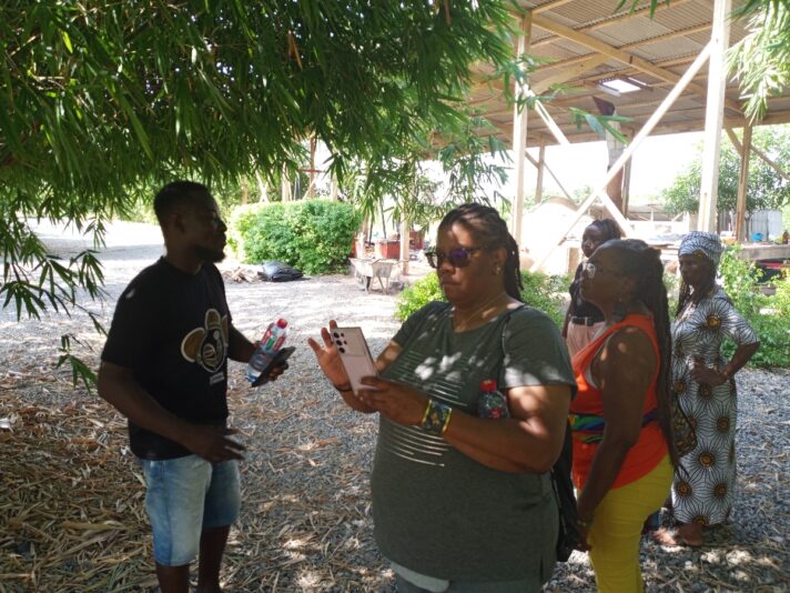 96c5eff5-4abc-47cb-9db2-11eaf2f49782