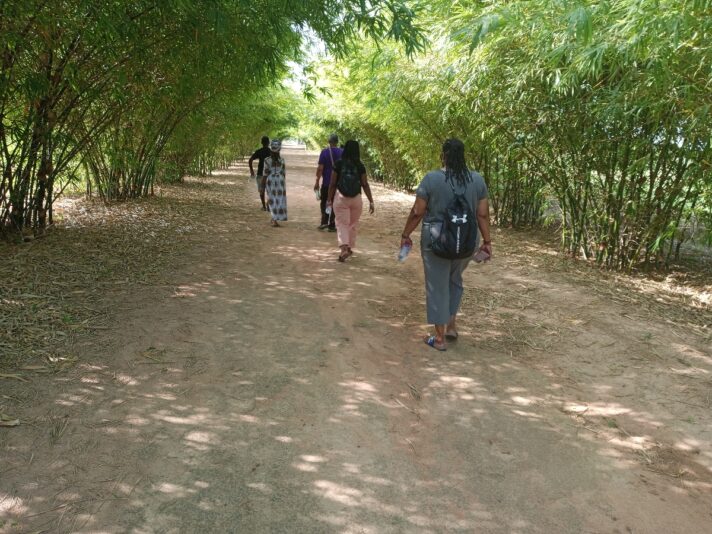 b527c528-a49d-4621-b270-add801a6af7f