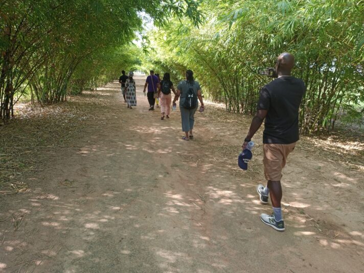 752e9666-b938-47a2-b995-0ce9328ada44