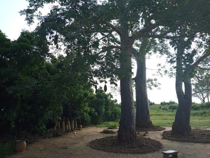 3aa34f80-0db1-45fe-bd67-94627d9e21d7