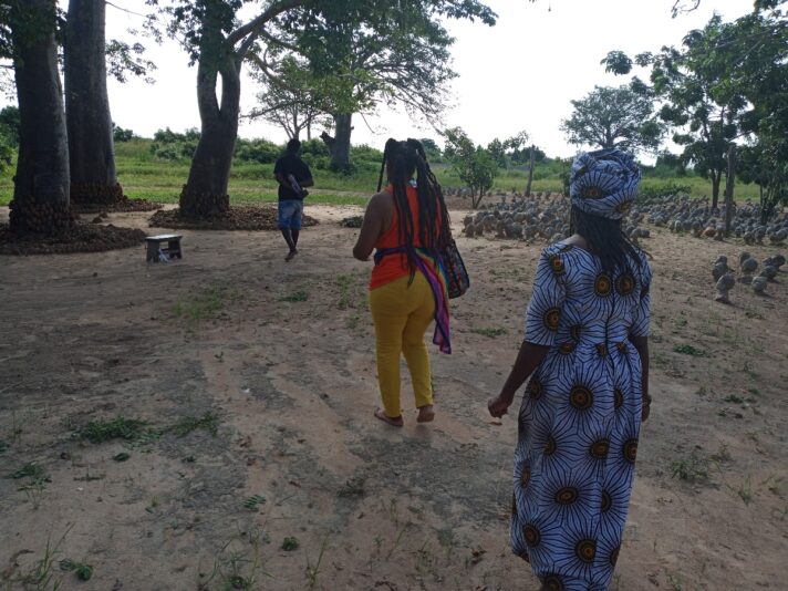 dee01f5c-b501-42d9-b4ff-1fb13dd50d8b