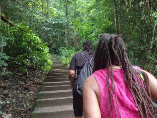 663ede14-2dd1-46a5-a2cb-600f506cb461