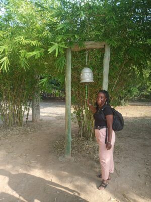 bd430ff6-9e24-4ba2-bbfd-d5055cf7da95