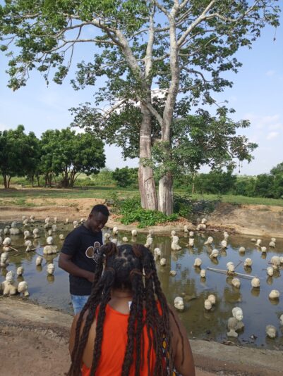 22969bb5-3d51-4d87-a788-03e4e3cccd09