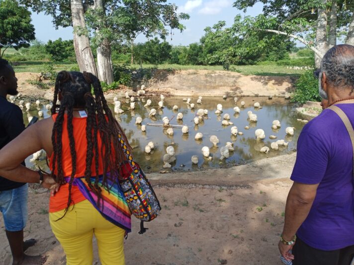 d3e88f33-0c30-4157-9330-1b3222ee9331