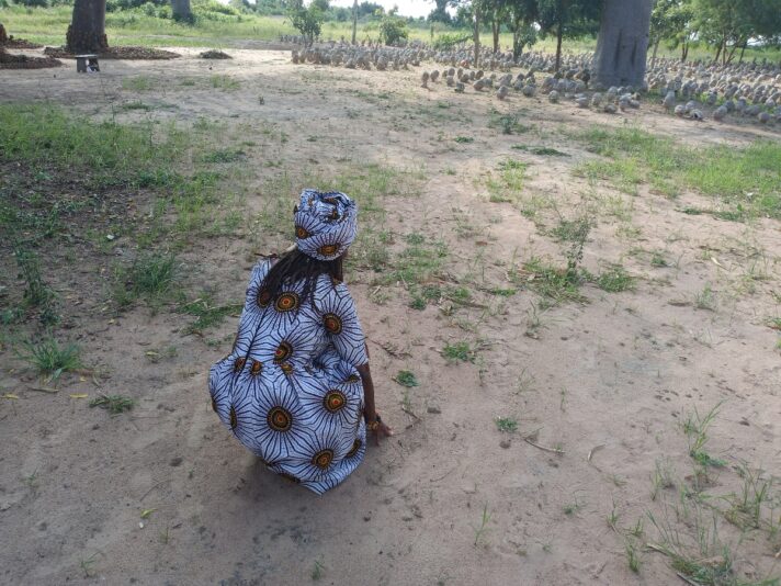 d08b7d8c-5b47-41c6-8703-a06aad9f9319