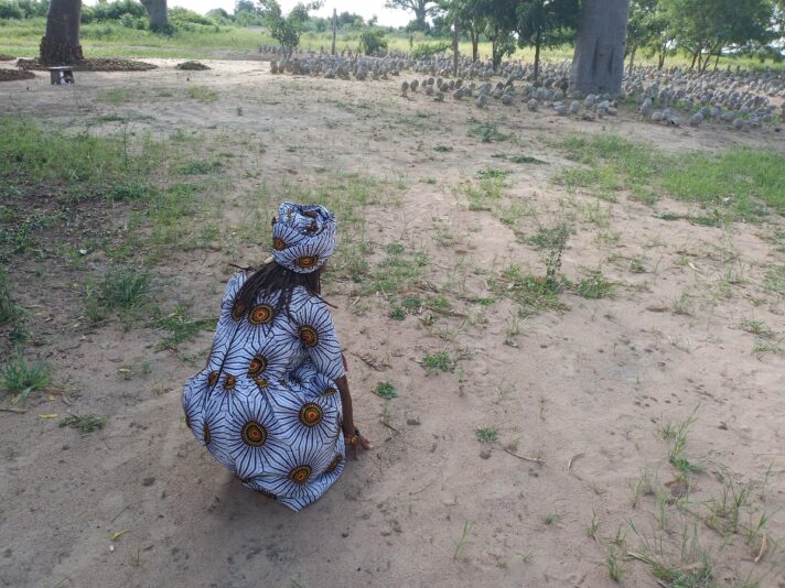 2338ddaa-a680-4ab5-81f2-c5b3138ba4ad