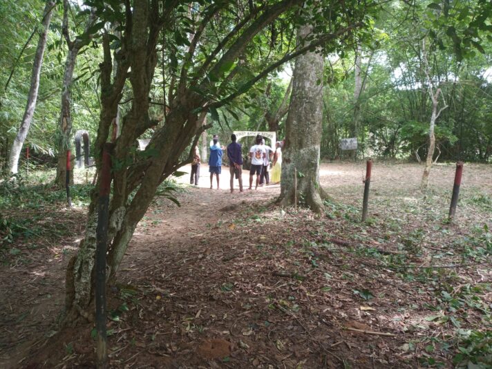 9d50c915-0669-43aa-ab79-e629c4cb0649