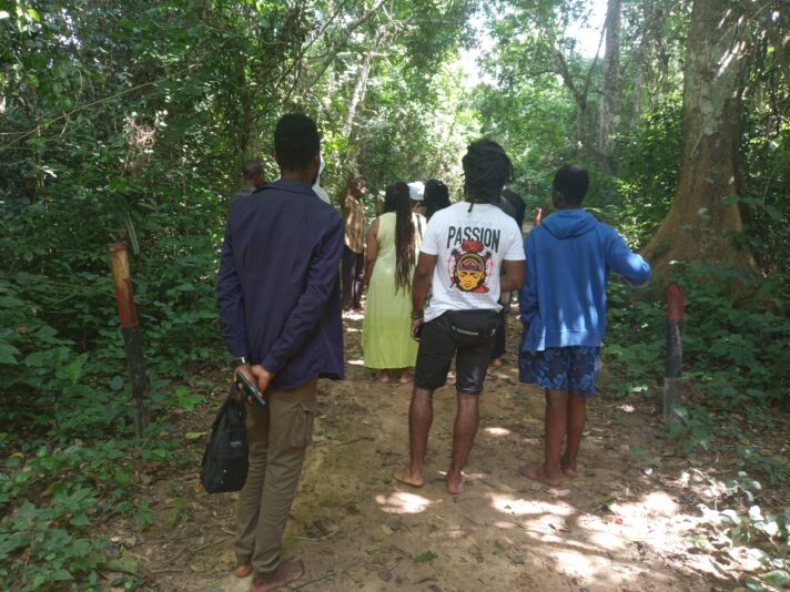 bf740a4c-d198-4d6f-b45d-adc28a990f8c