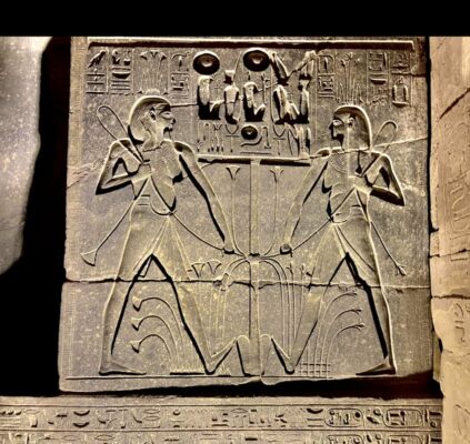 250772963_4485424474883728_1071996234717017992_n