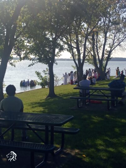 cb36132c-5a7f-4eed-a054-a88096e80944