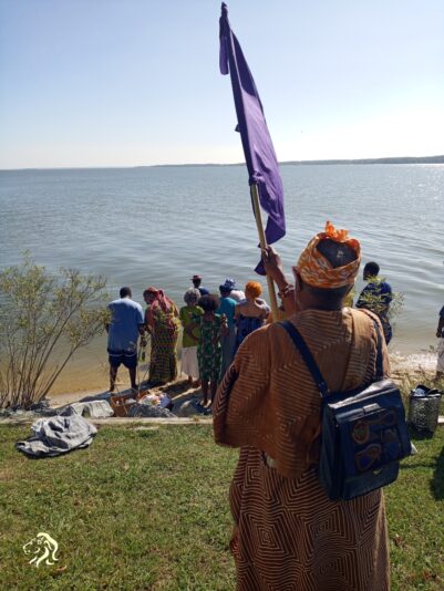 052d2511-d6d5-48cf-85e7-3dece3393c75