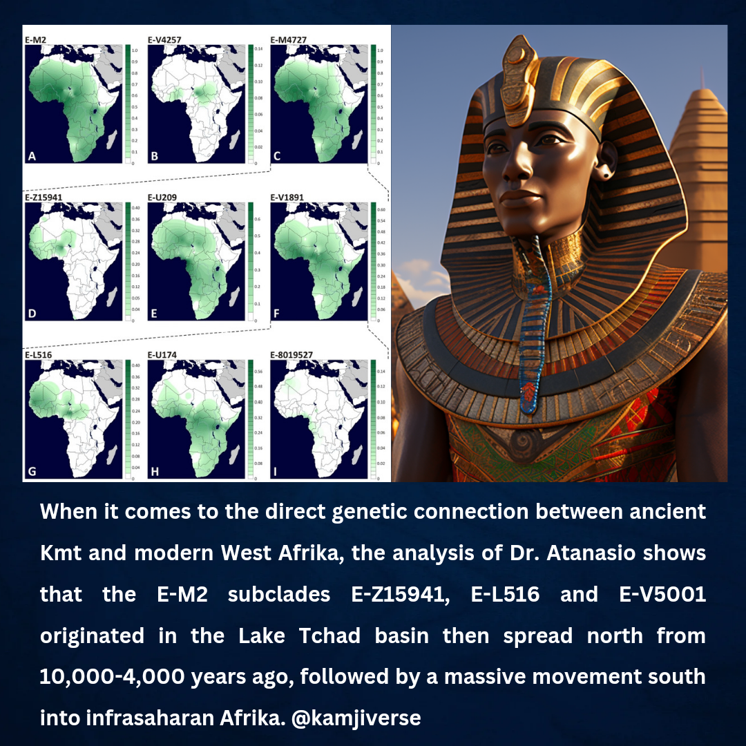 20231119_203308_0000