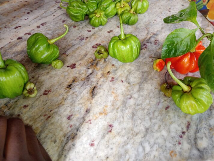 9638d048-fe26-4ea9-abbd-5d9dabe82a5c