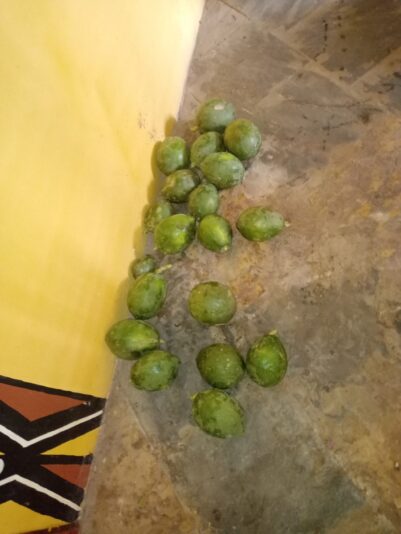 fd8f0c32-7eb3-4317-8750-91bbe0b8c2cb