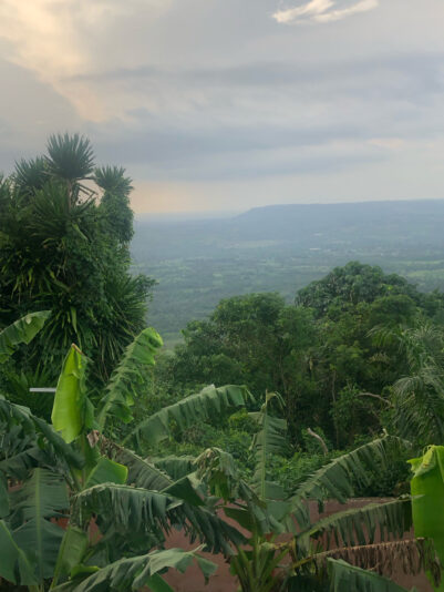 0BAFAFA6-AA42-4EFC-8923-9EF1DF003268