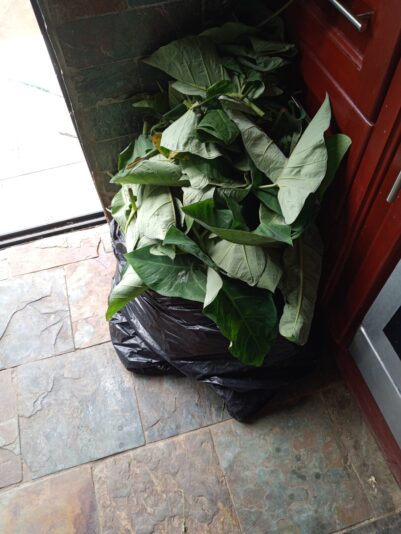 6f89521b-f616-4744-9d23-c2781a9f5df9