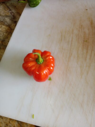 19880877-70f2-4a71-b35e-8e30a84c5cc9