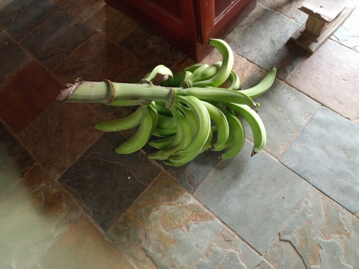 a750f144-8626-4593-9583-72386365e835