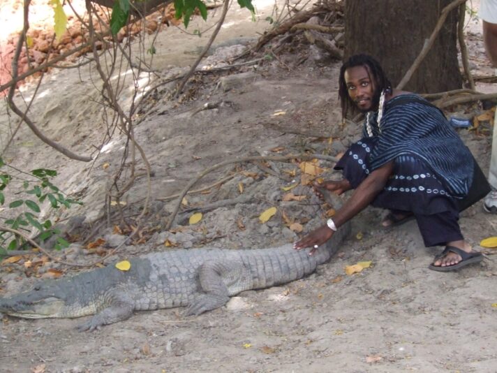 214954d0-0594-4901-885c-6d4d0618651e