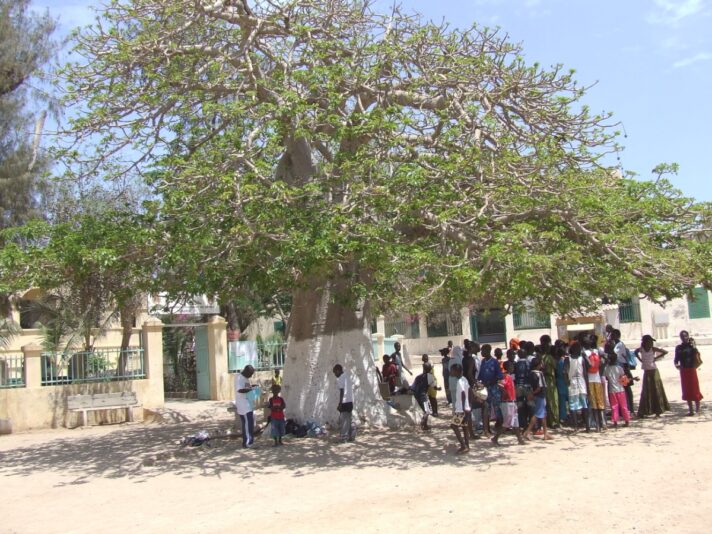 304837be-9a65-4c7b-8d3c-963293f9bae6