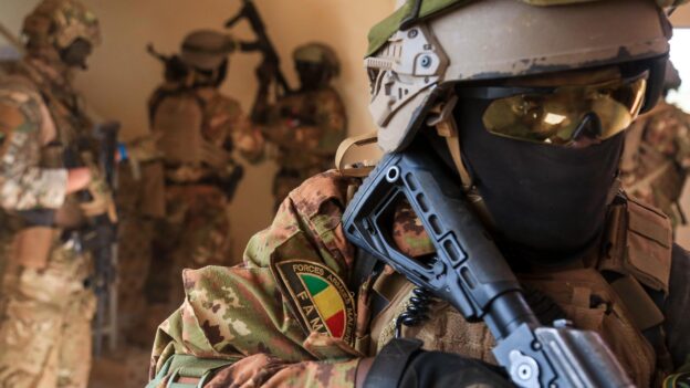 Purpose of armed forces in Farafinna
