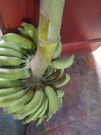 3d691235-144e-471a-a9fd-f9c1c073dd3f