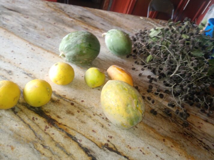 45bc2144-7764-405f-9c14-6b2f545f9f03